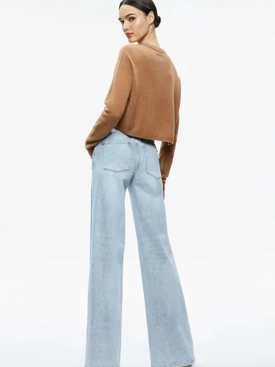 Women Alice and Olivia Sherrell Crew Neck Pullover