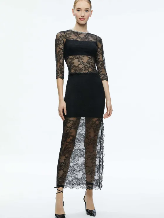 Women Alice and Olivia Vanita Embellished Neck Lace Crop Top